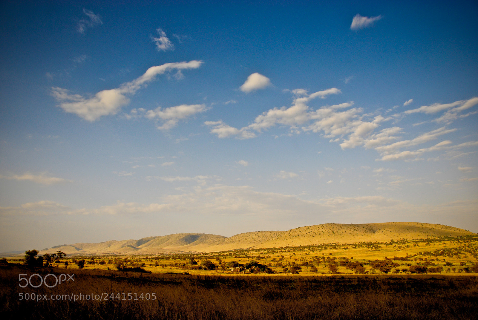 Nikon D200 sample photo. Tanzania photography