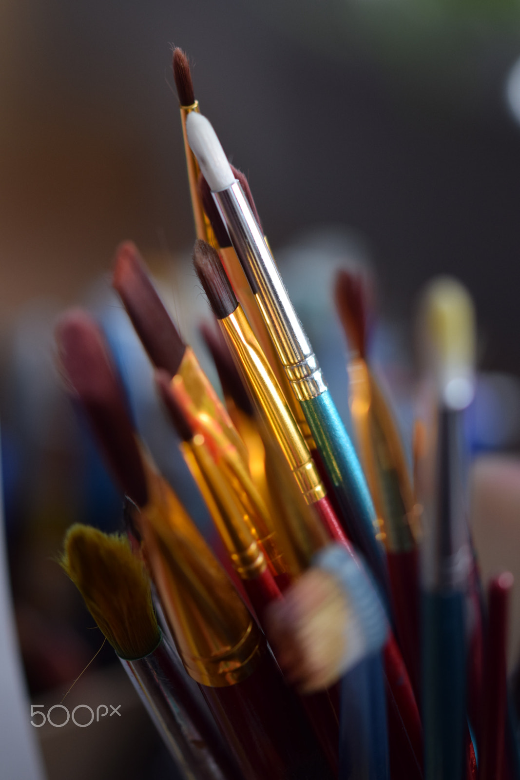 Sigma 105mm F2.8 EX DG OS HSM sample photo. Pinsel-makro photography