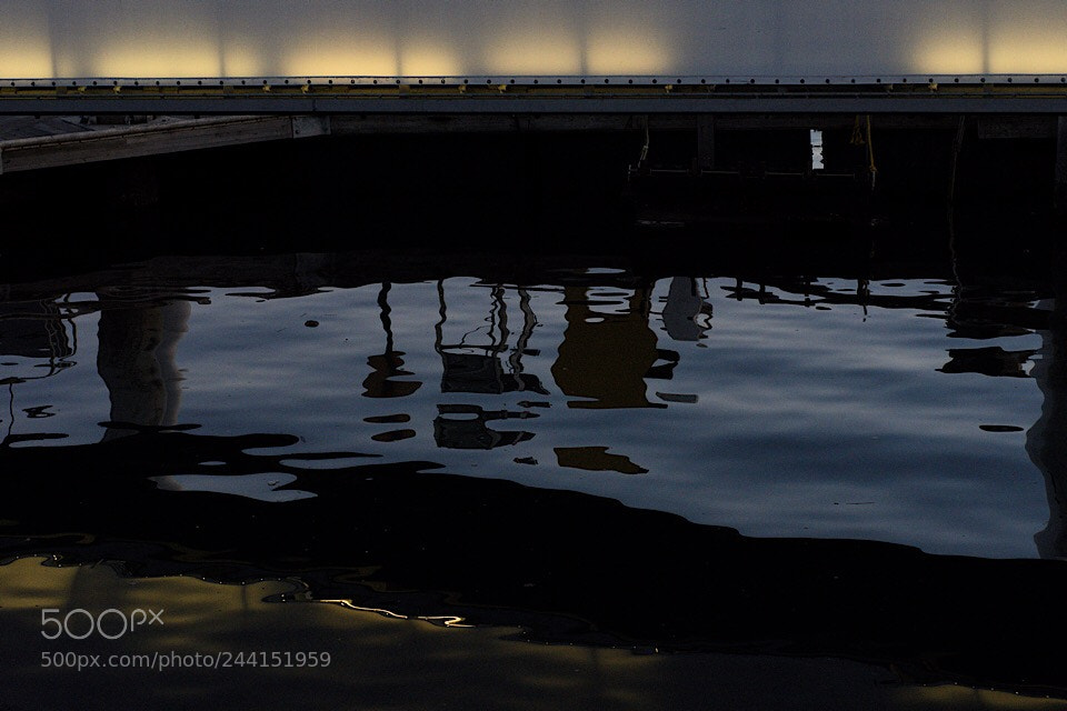 Nikon D7200 sample photo. Untitled photography