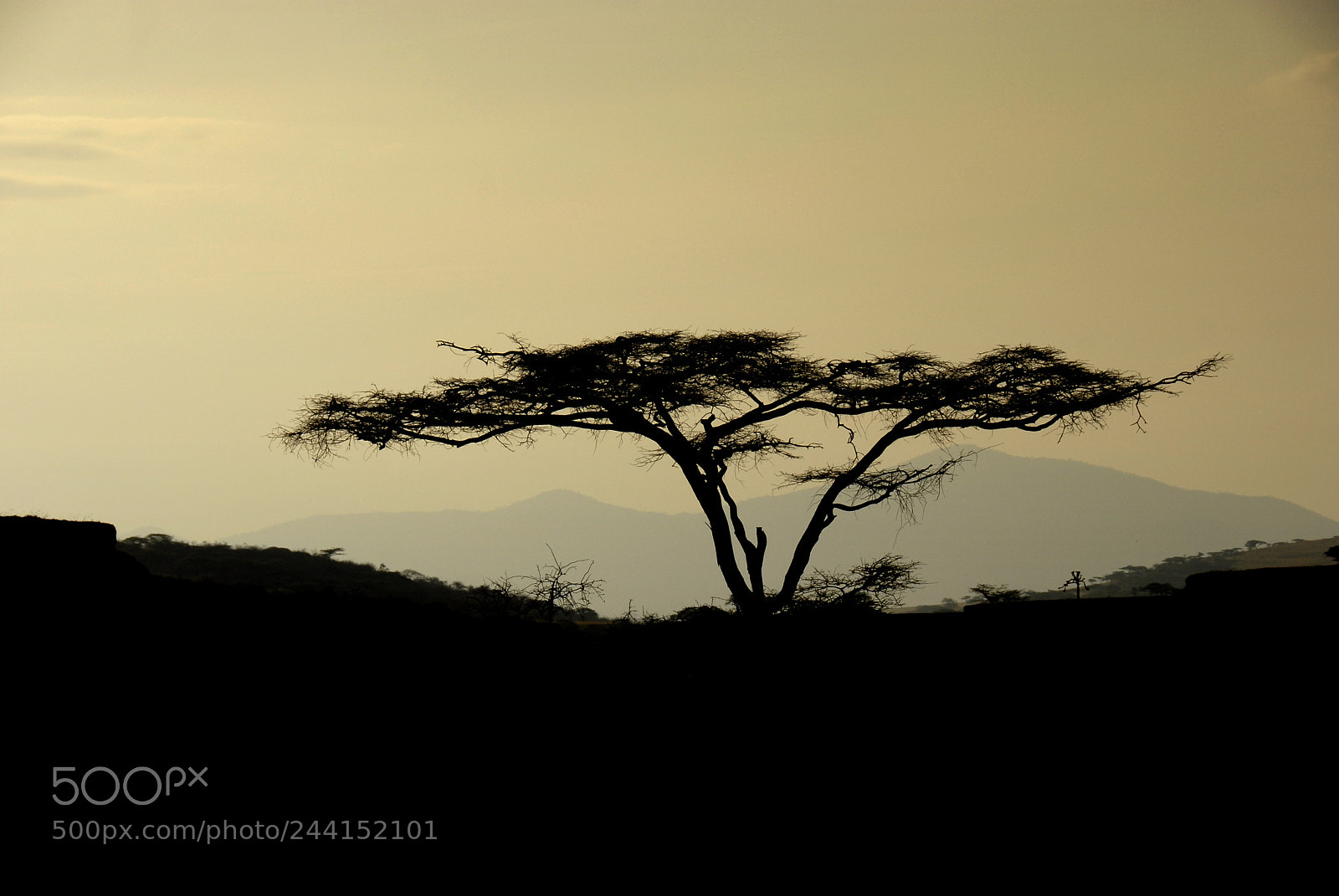 Nikon D200 sample photo. Tanzania photography