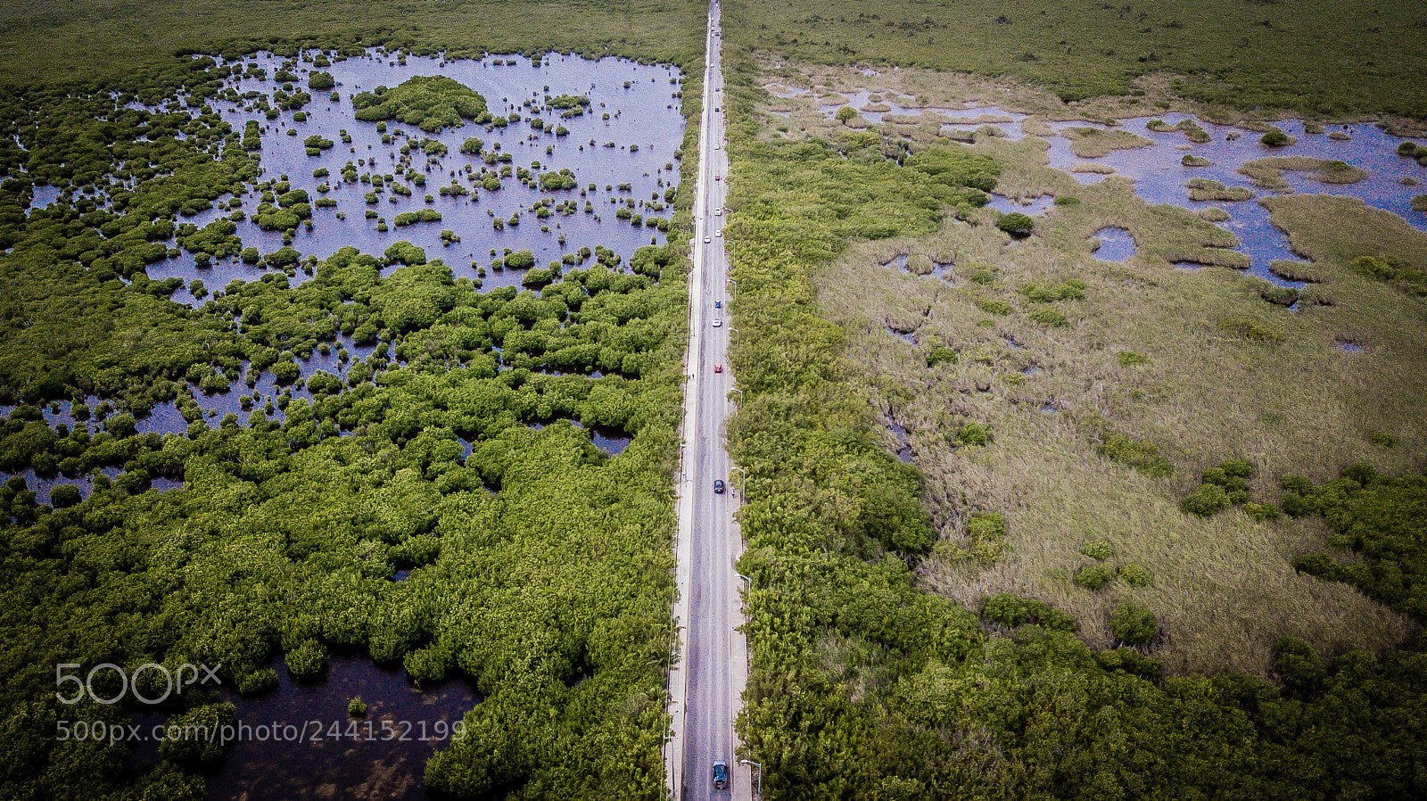 DJI FC220 sample photo. Road to puerto morelos photography
