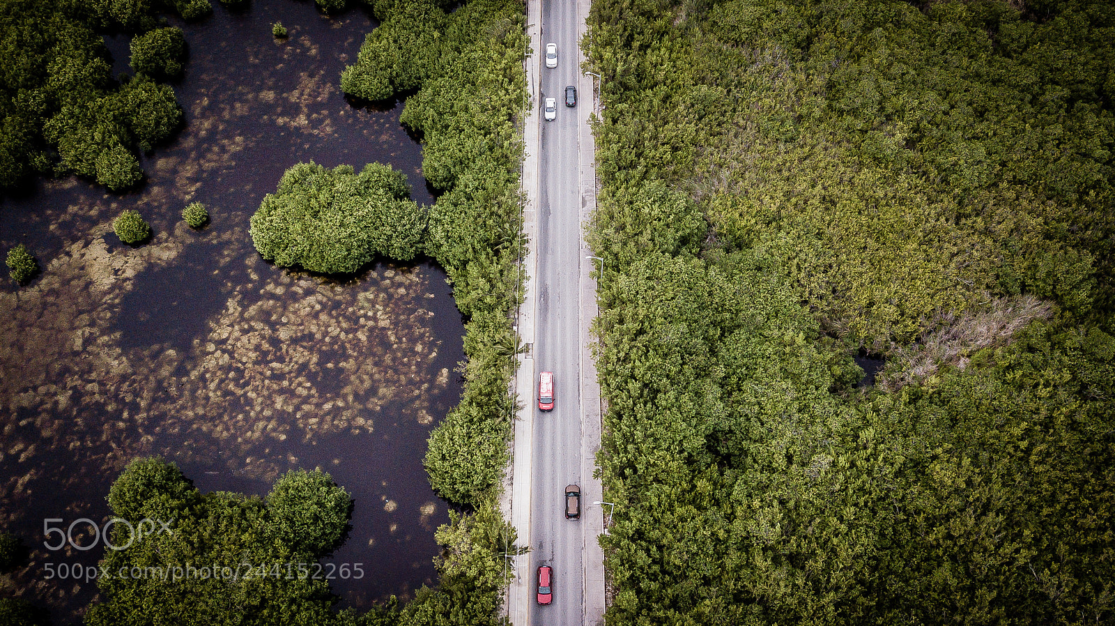 DJI FC220 sample photo. Road to puerto morelos photography