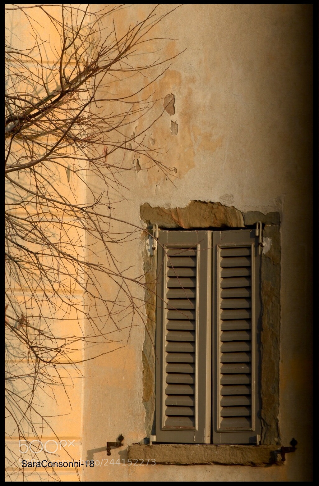 Nikon D7200 sample photo. Finestra chiusa photography