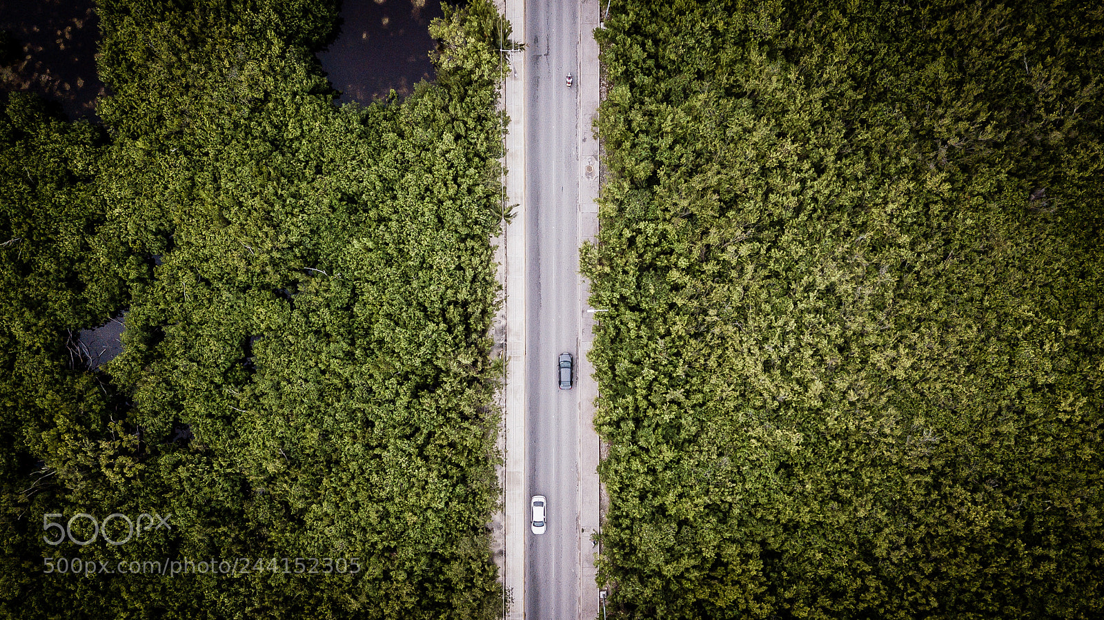 DJI FC220 sample photo. Road to puerto morelos photography