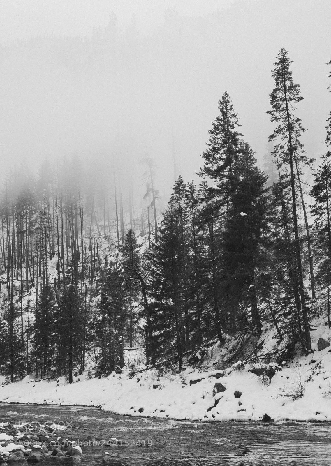 Fujifilm X-Pro2 sample photo. Winter fog photography