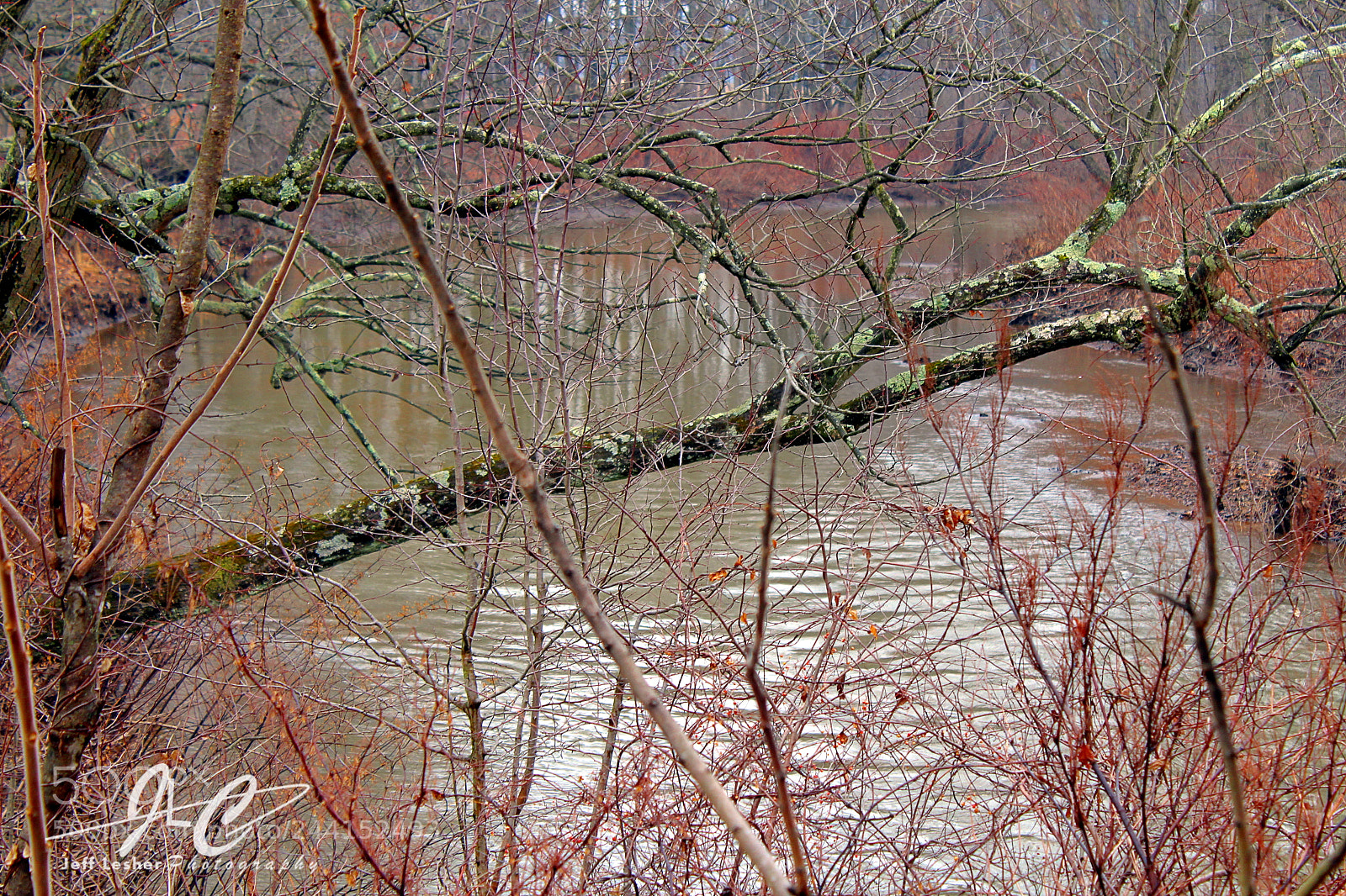 Canon EOS 1300D (EOS Rebel T6 / EOS Kiss X80) sample photo. Shamokin creek photography