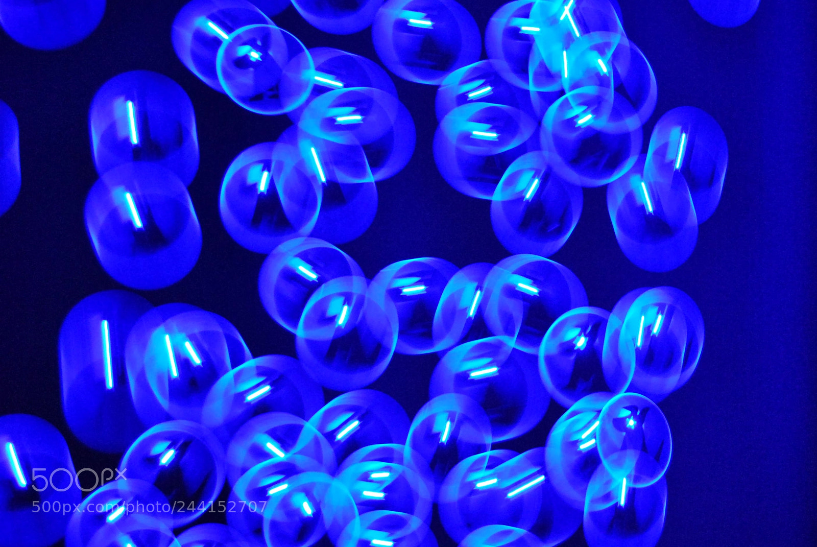 Nikon D60 sample photo. " blue " photography