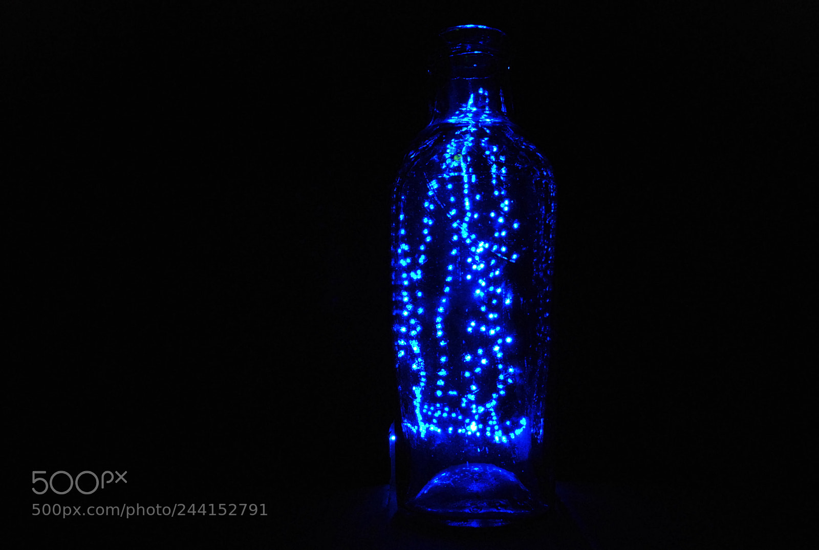 Nikon D60 sample photo. " blue " photography