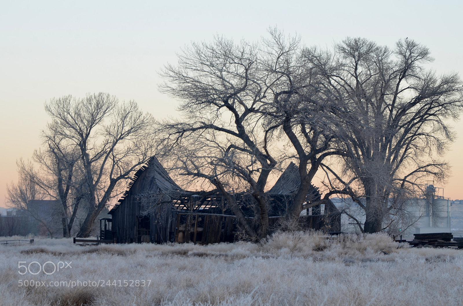 Nikon D5100 sample photo. Old barn photography