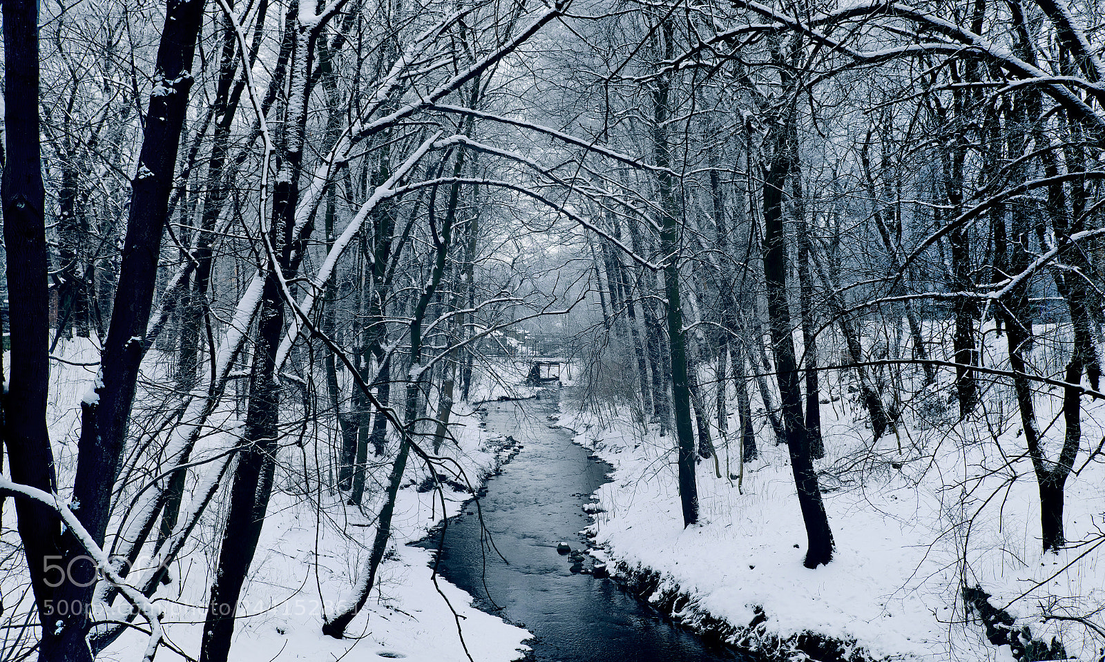 Fujifilm X-T20 sample photo. Stream in winter park photography