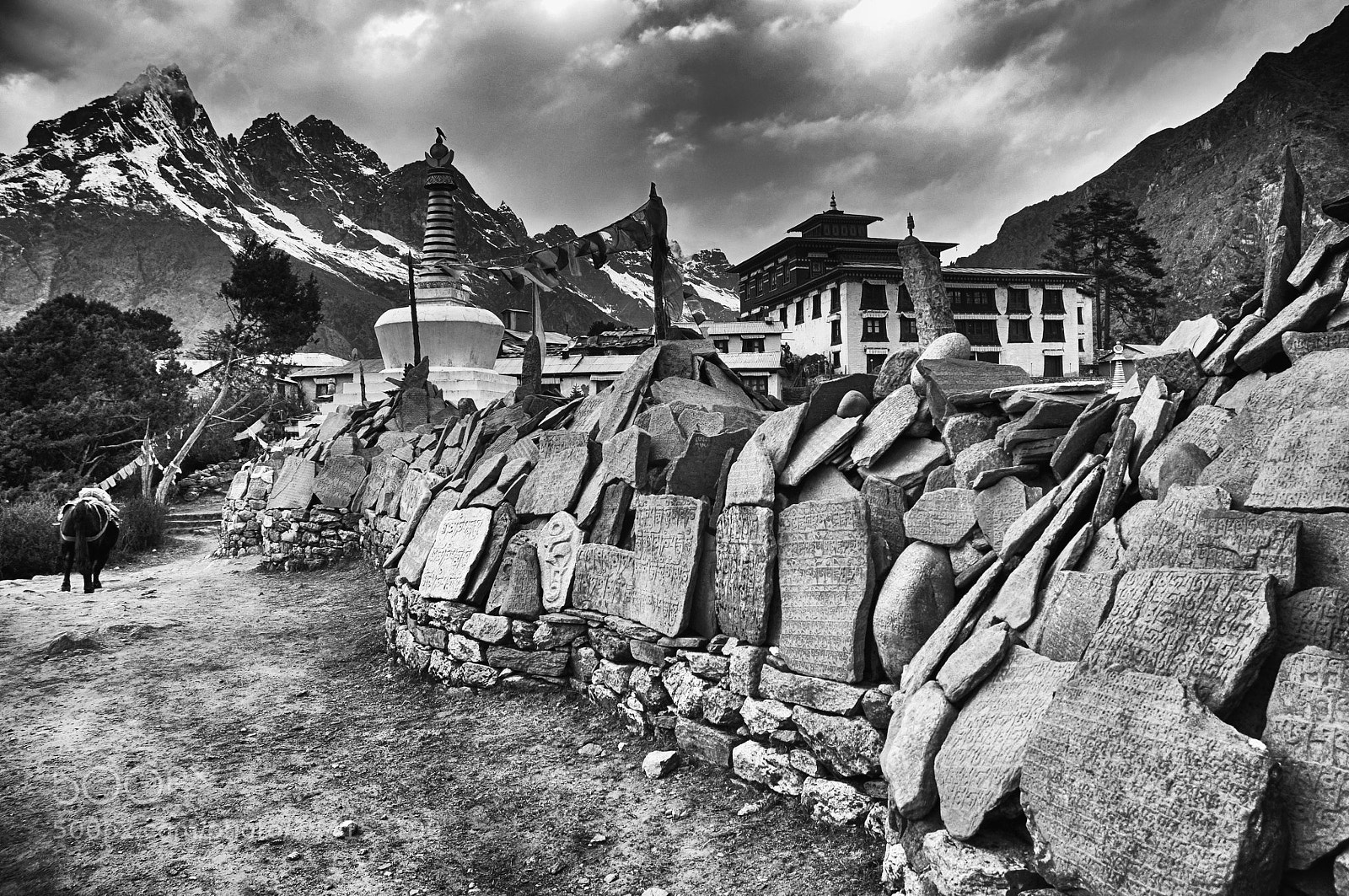 Nikon D90 sample photo. Nepal mur de prieres photography