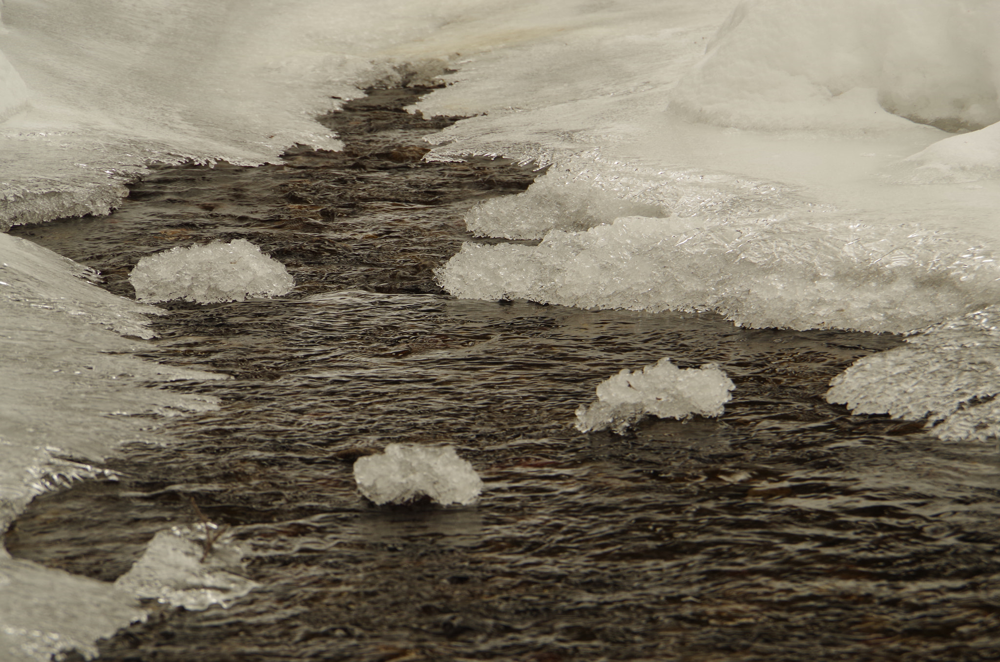 Pentax K-50 sample photo. Winter's teeth photography