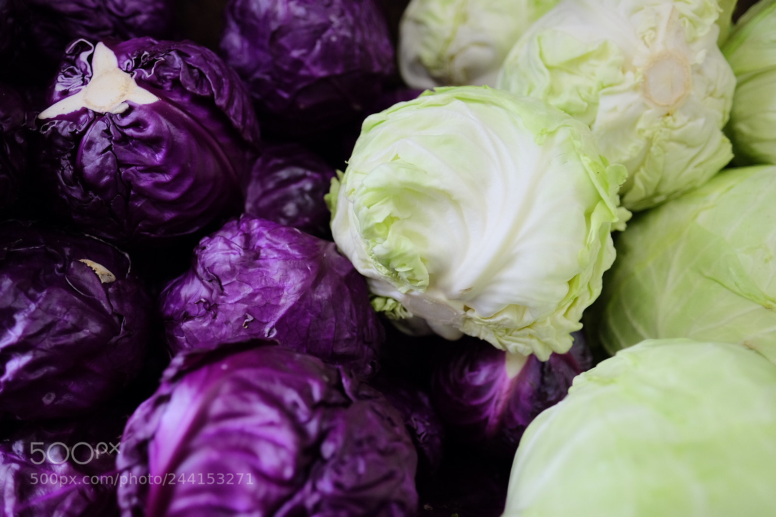 Fujifilm X-T1 sample photo. Untitled photography