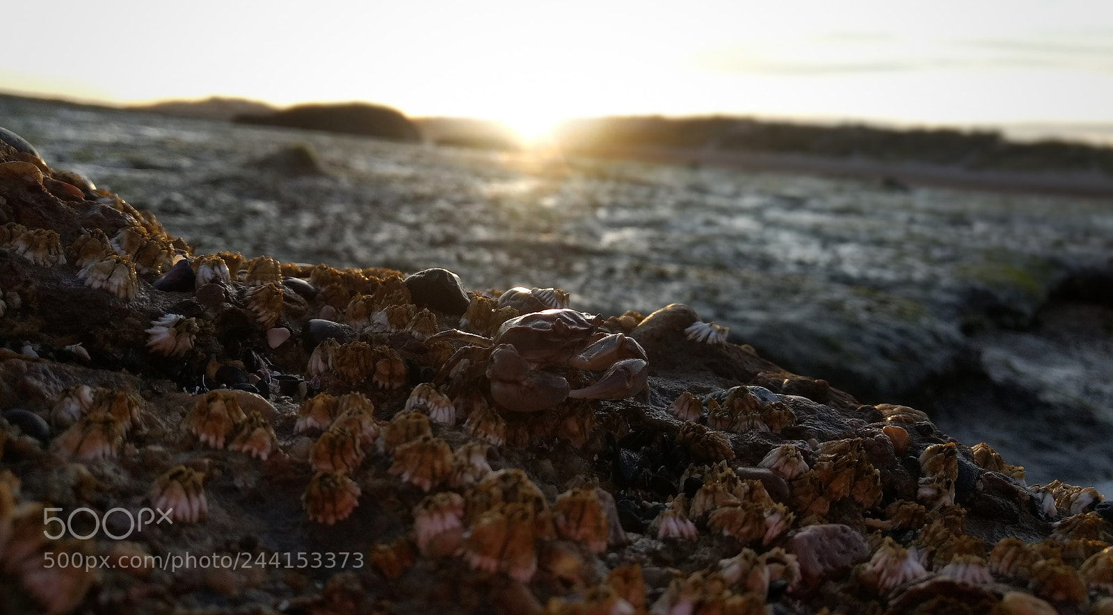 Motorola Moto G (4) sample photo. Atardecer photography