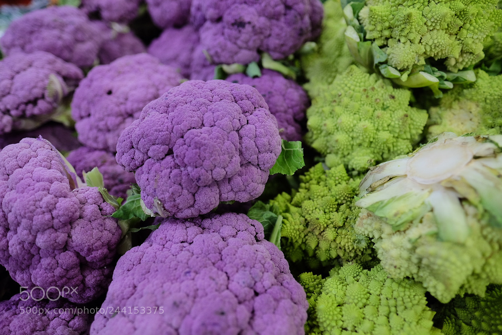 Fujifilm X-T1 sample photo. Untitled photography