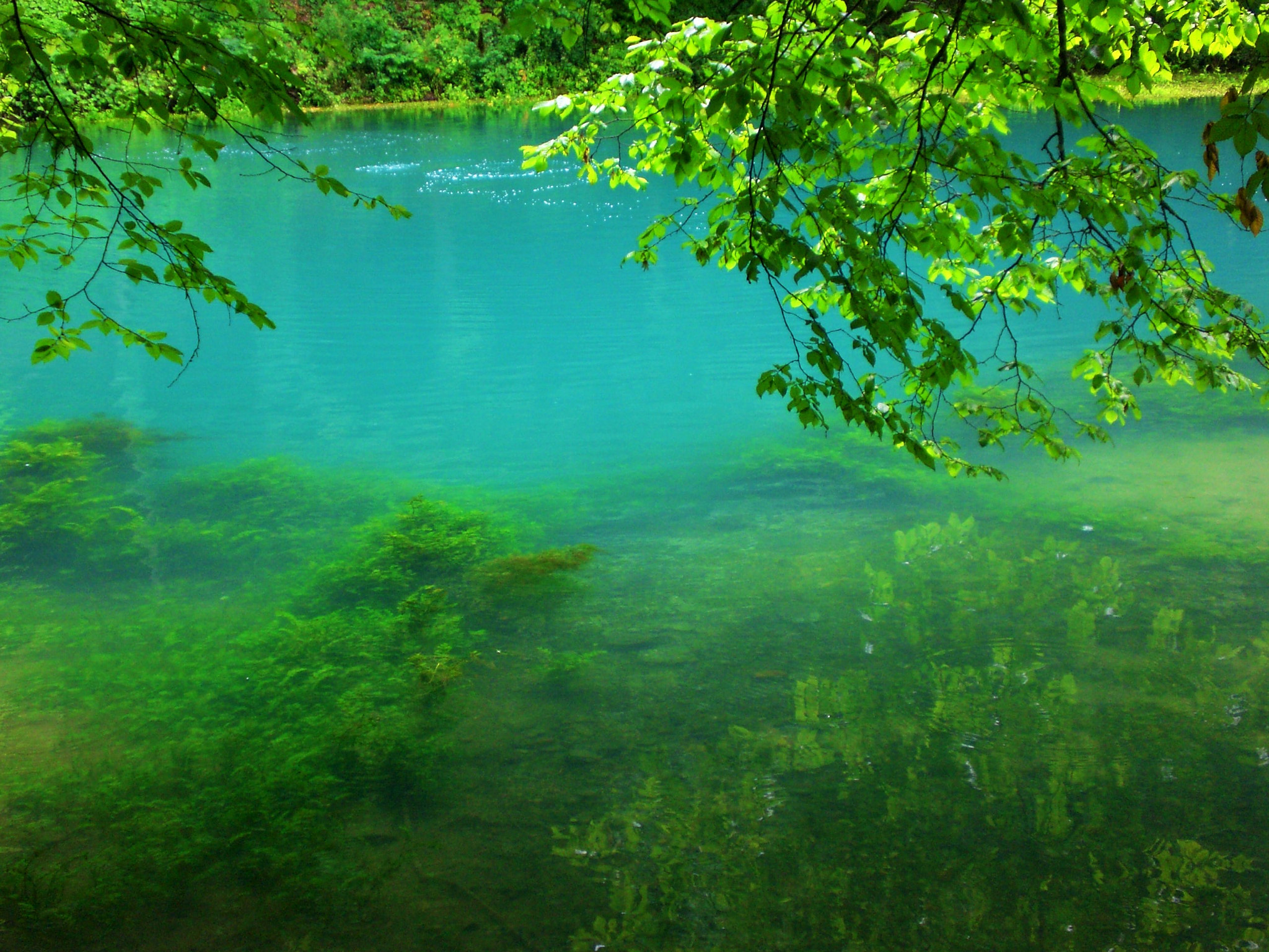 CASIO EX-Z75 sample photo. Blaubeuren blautopf (germany) photography