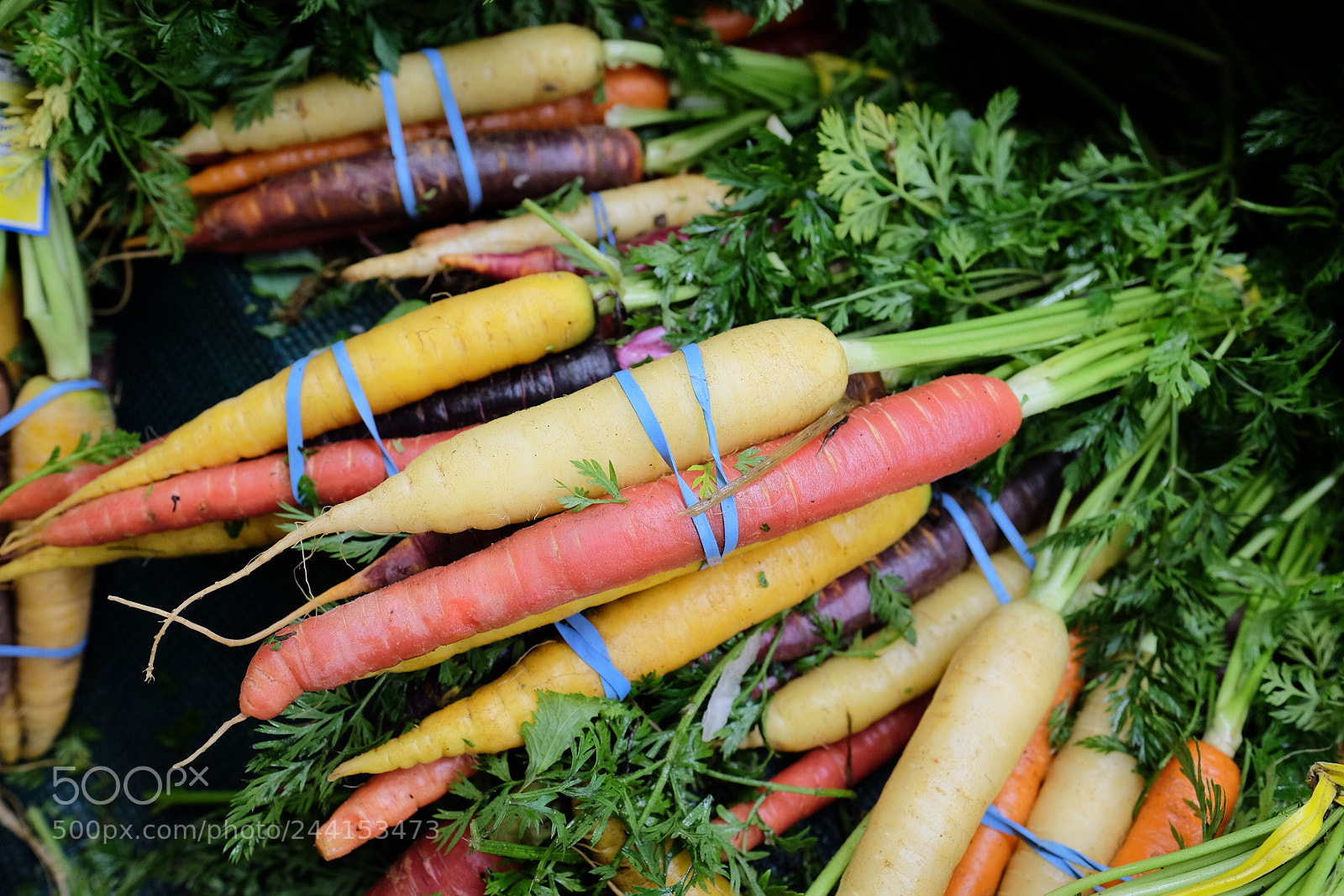 Fujifilm X-T1 sample photo. Untitled photography