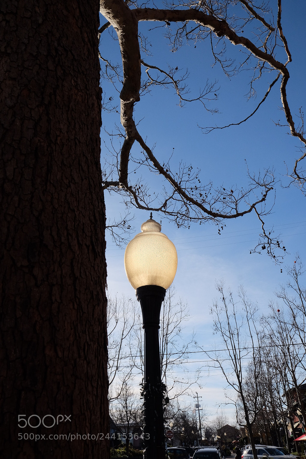 Fujifilm X-T1 sample photo. Untitled photography