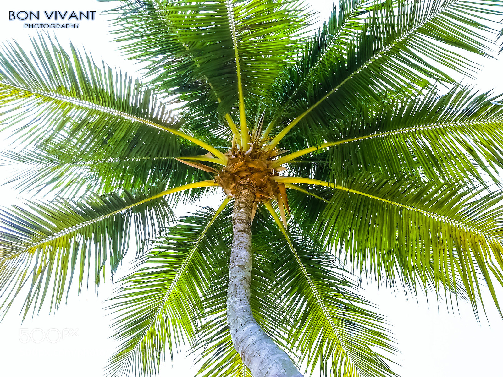 Samsung Galaxy S3 sample photo. Portfolio (из ) photography
