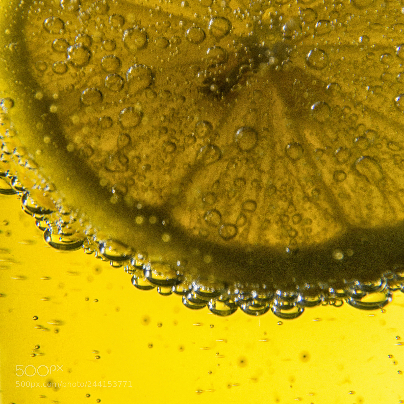 Nikon D3100 sample photo. Lemon photography