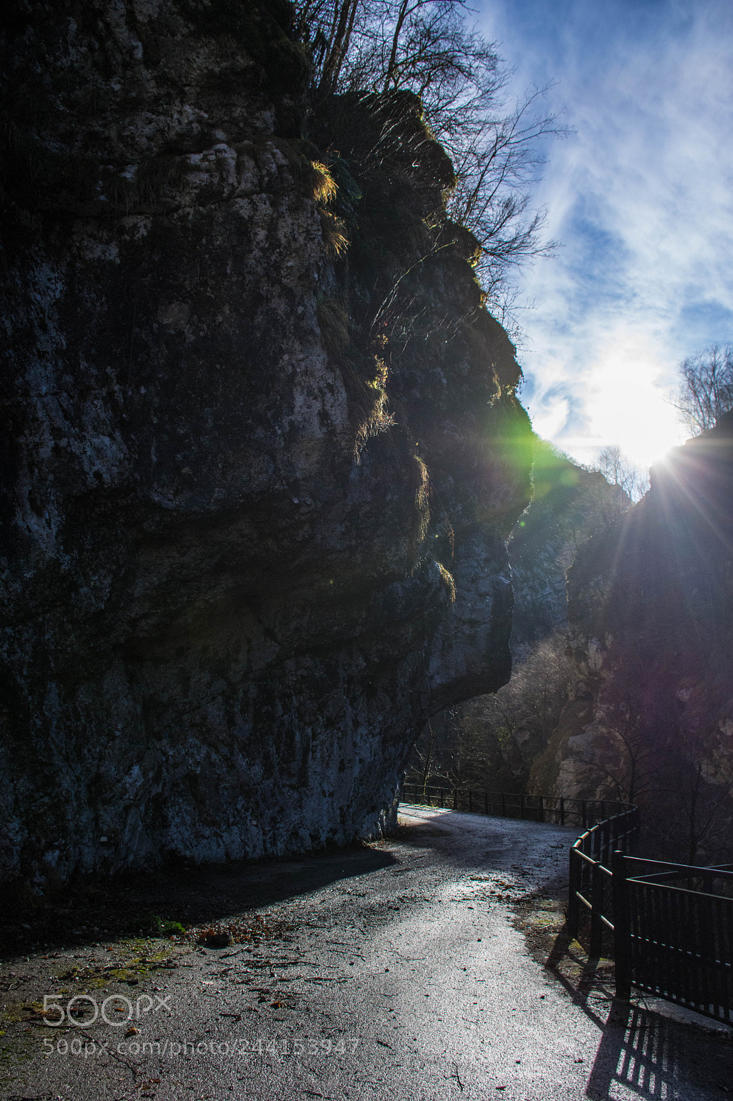 Nikon D7200 sample photo. The beginning photography