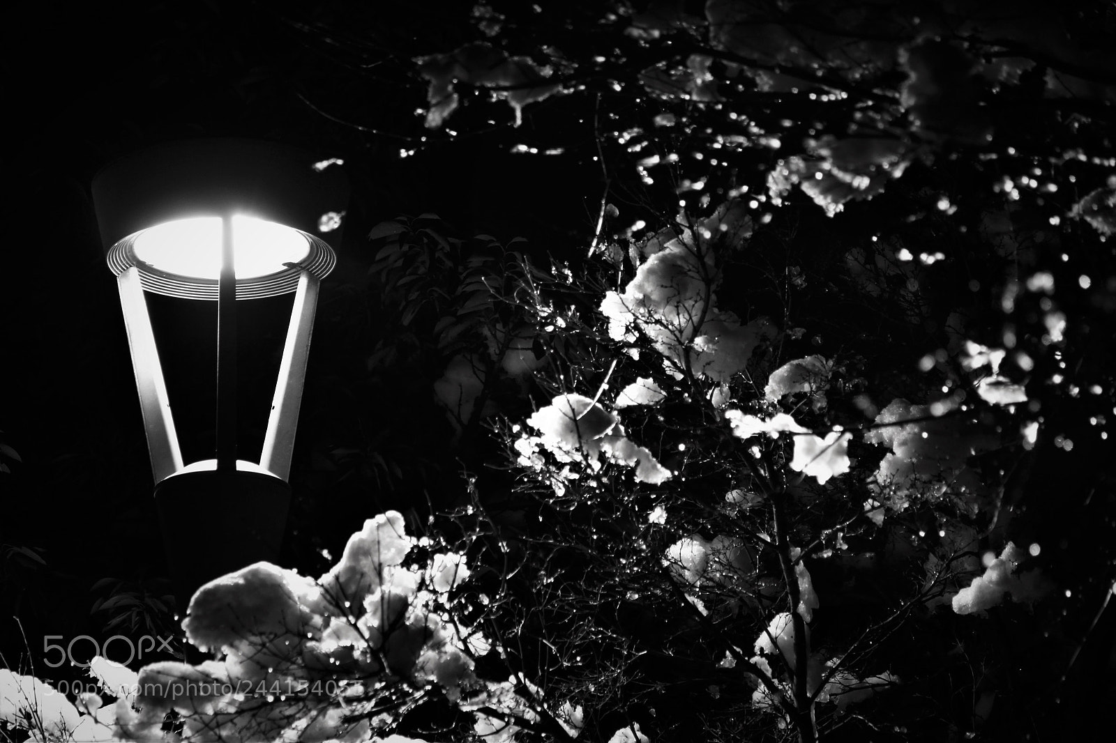 Canon EOS 60D sample photo. Snow light photography
