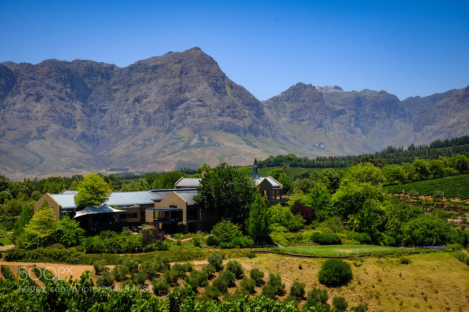 Fujifilm X-T10 sample photo. Stellenbosch photography