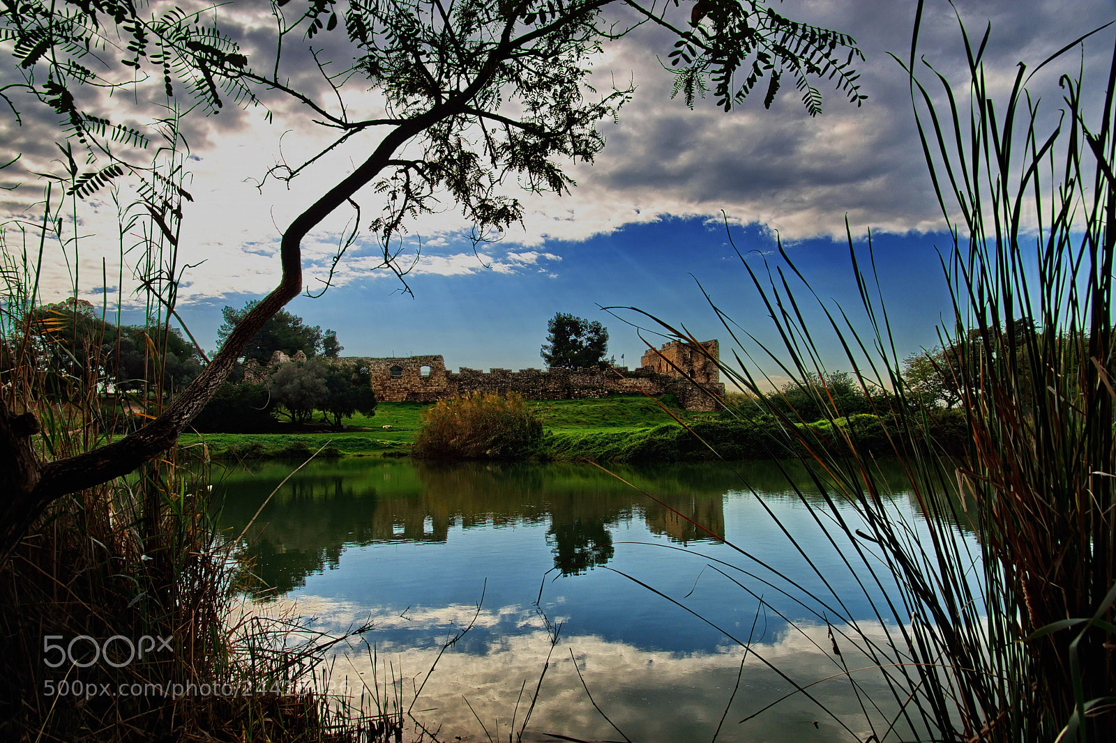 Nikon D7200 sample photo. Afek photography