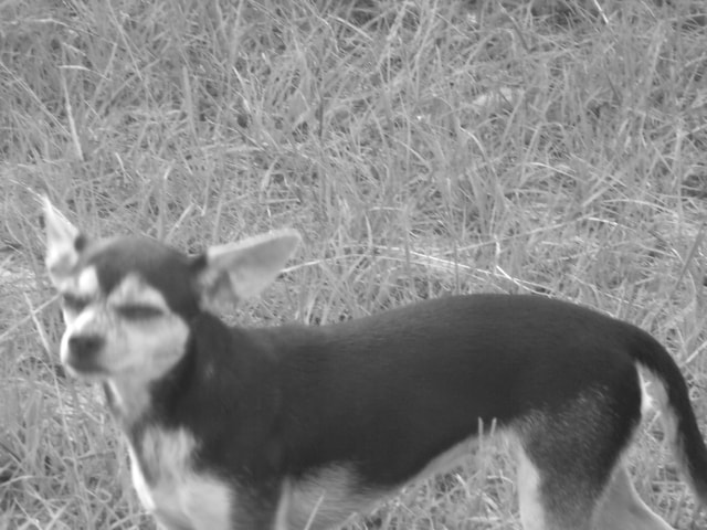 GENERAL IMAGING CO. X400 sample photo. Gedsc digital camera photography