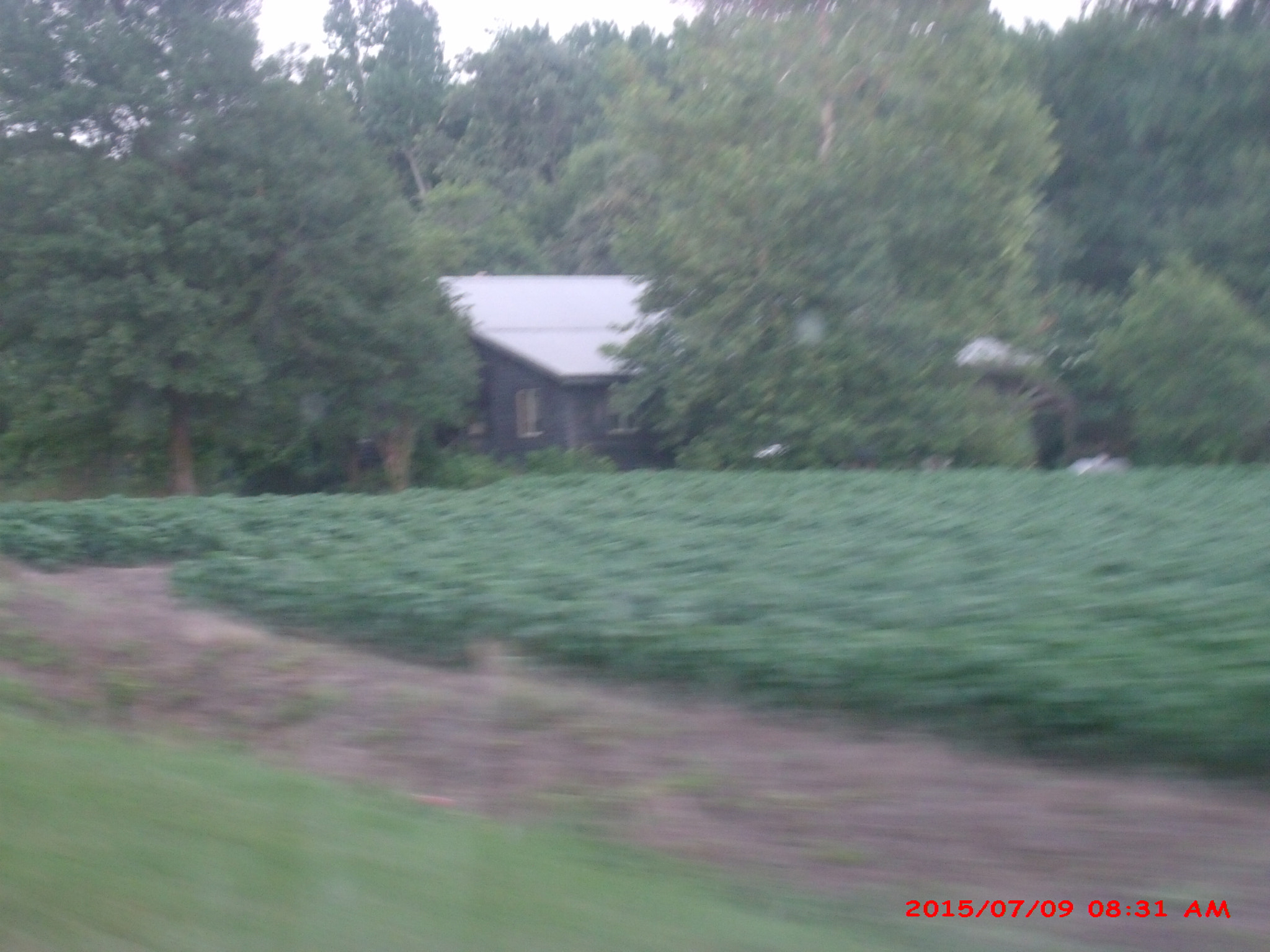 GENERAL IMAGING CO. X400 sample photo. Gedsc digital camera photography