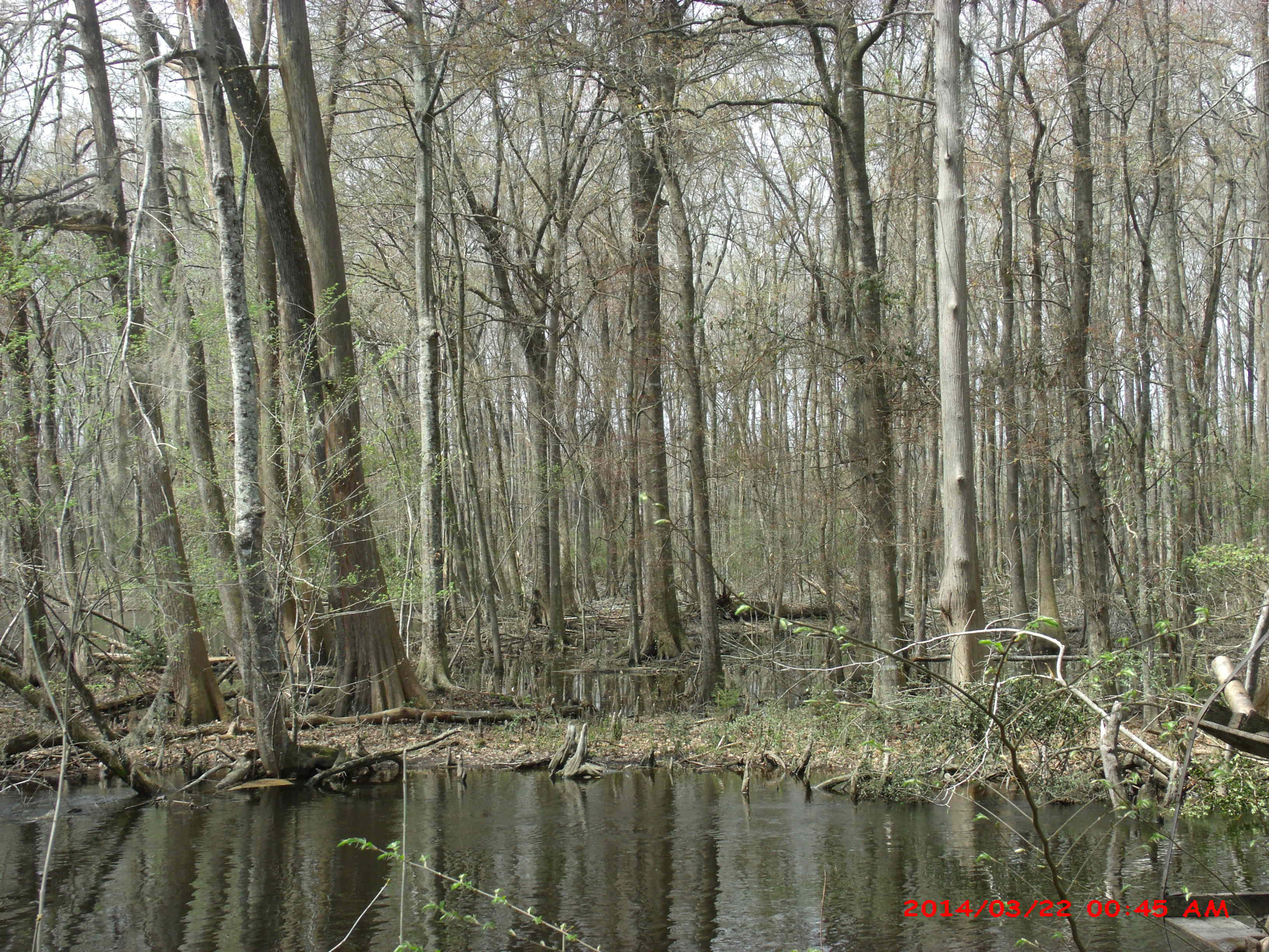 GENERAL IMAGING CO. X400 sample photo. Gedsc digital camera photography