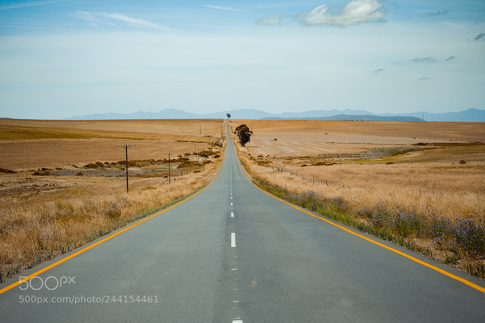 Fujifilm X-T10 sample photo. Endless road photography