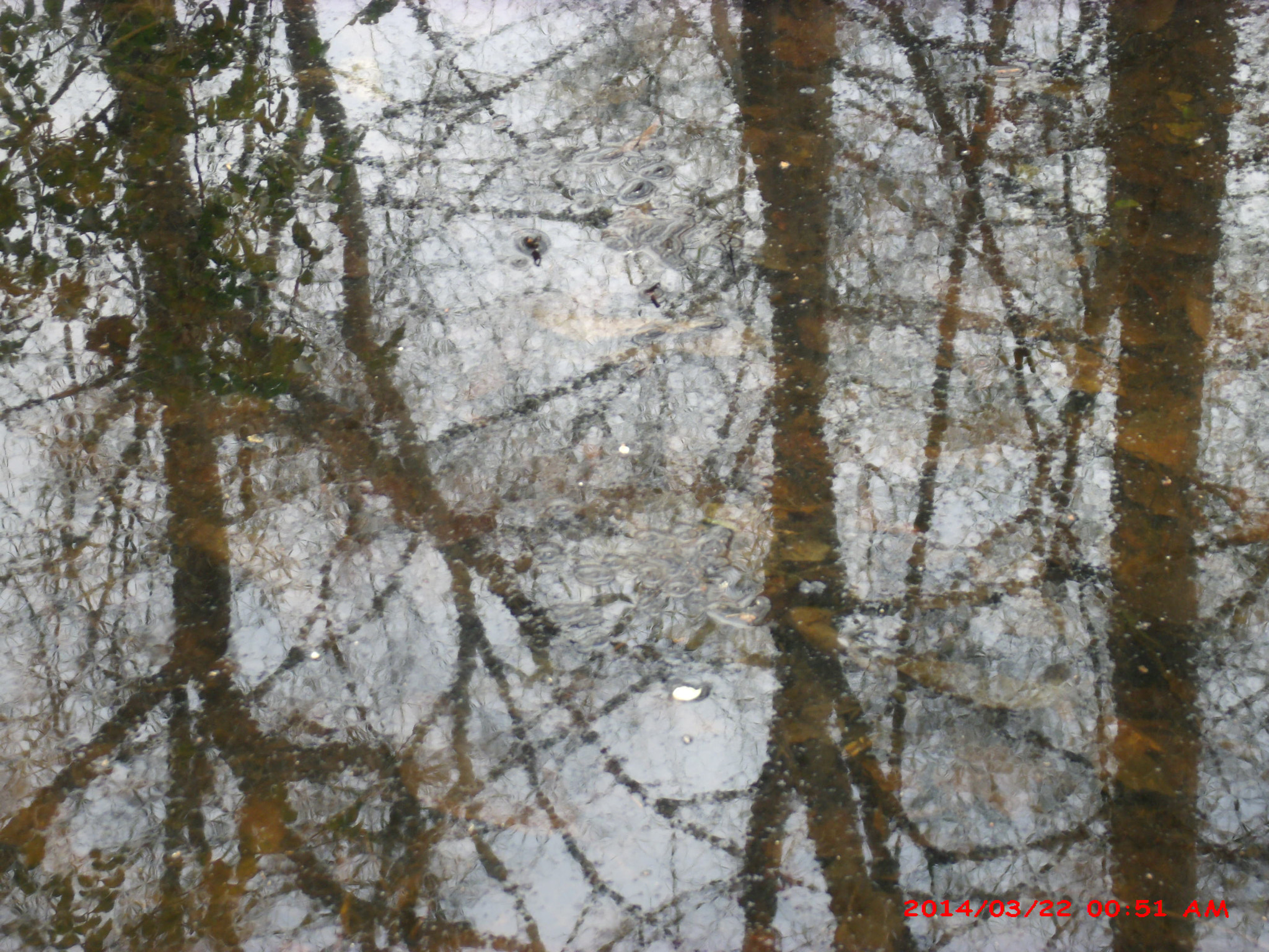 GENERAL IMAGING CO. X400 sample photo. Gedsc digital camera photography