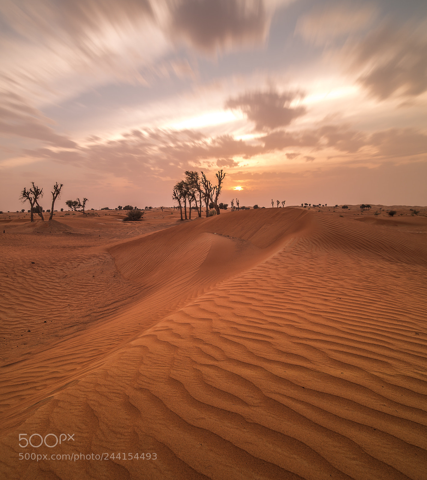 Nikon D610 sample photo. Desert sunset photography
