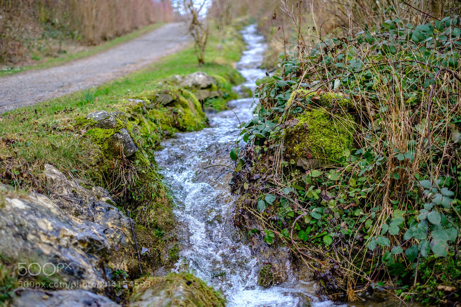 Fujifilm X-Pro2 sample photo. Baden sunday - stream photography