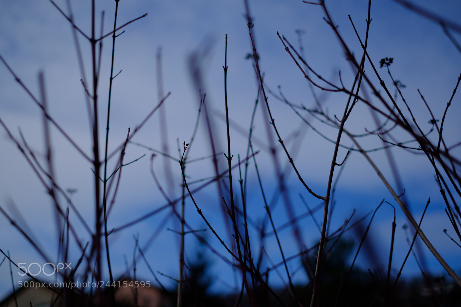 Fujifilm X-Pro2 sample photo. Baden sunday - blue photography