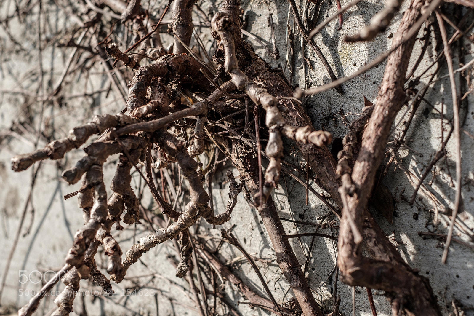 Fujifilm X-Pro2 sample photo. Baden sunday - wall photography