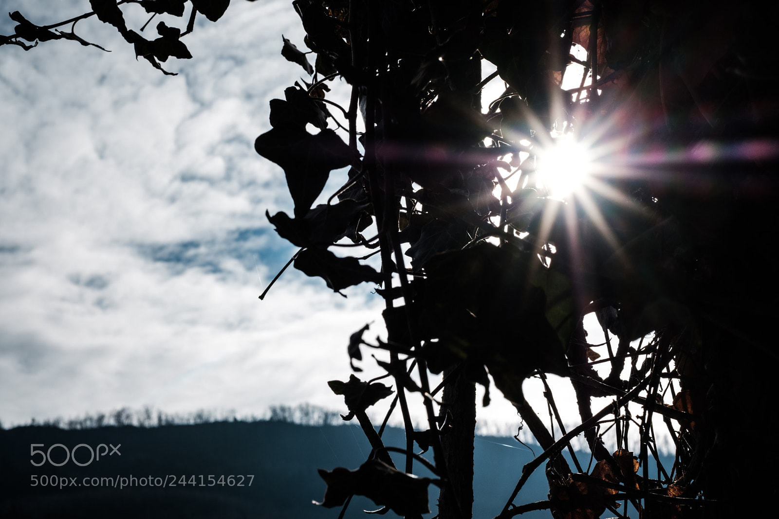 Fujifilm X-Pro2 sample photo. Baden sunday - peeking photography