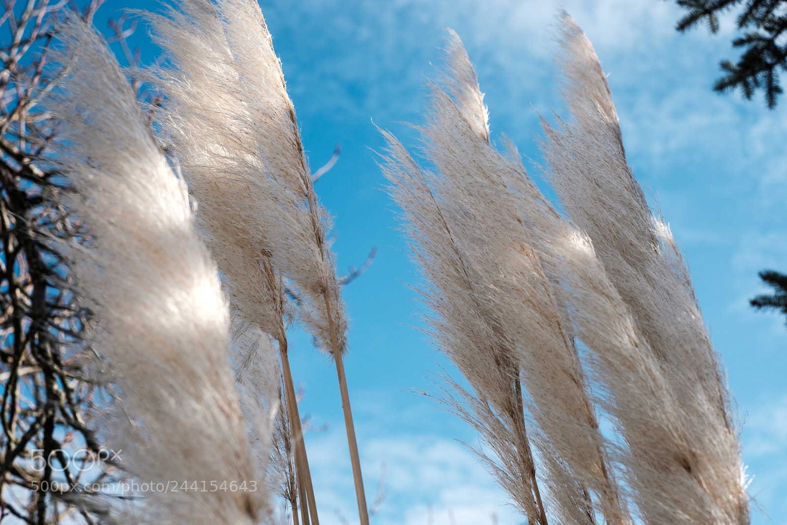 Fujifilm X-Pro2 sample photo. Baden sunday - white photography
