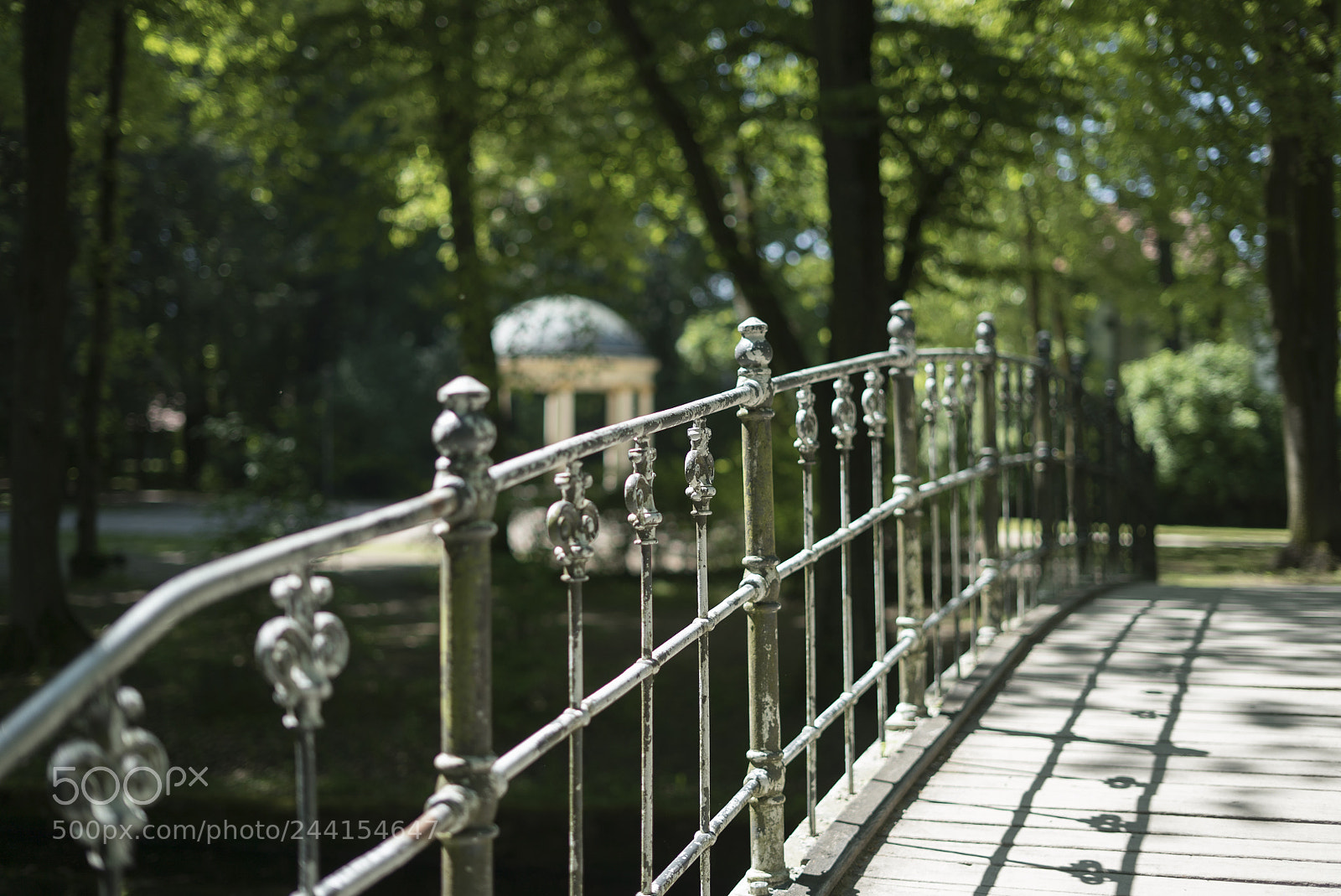 Sony a7S II sample photo. Park hofgarten in bayreuth photography