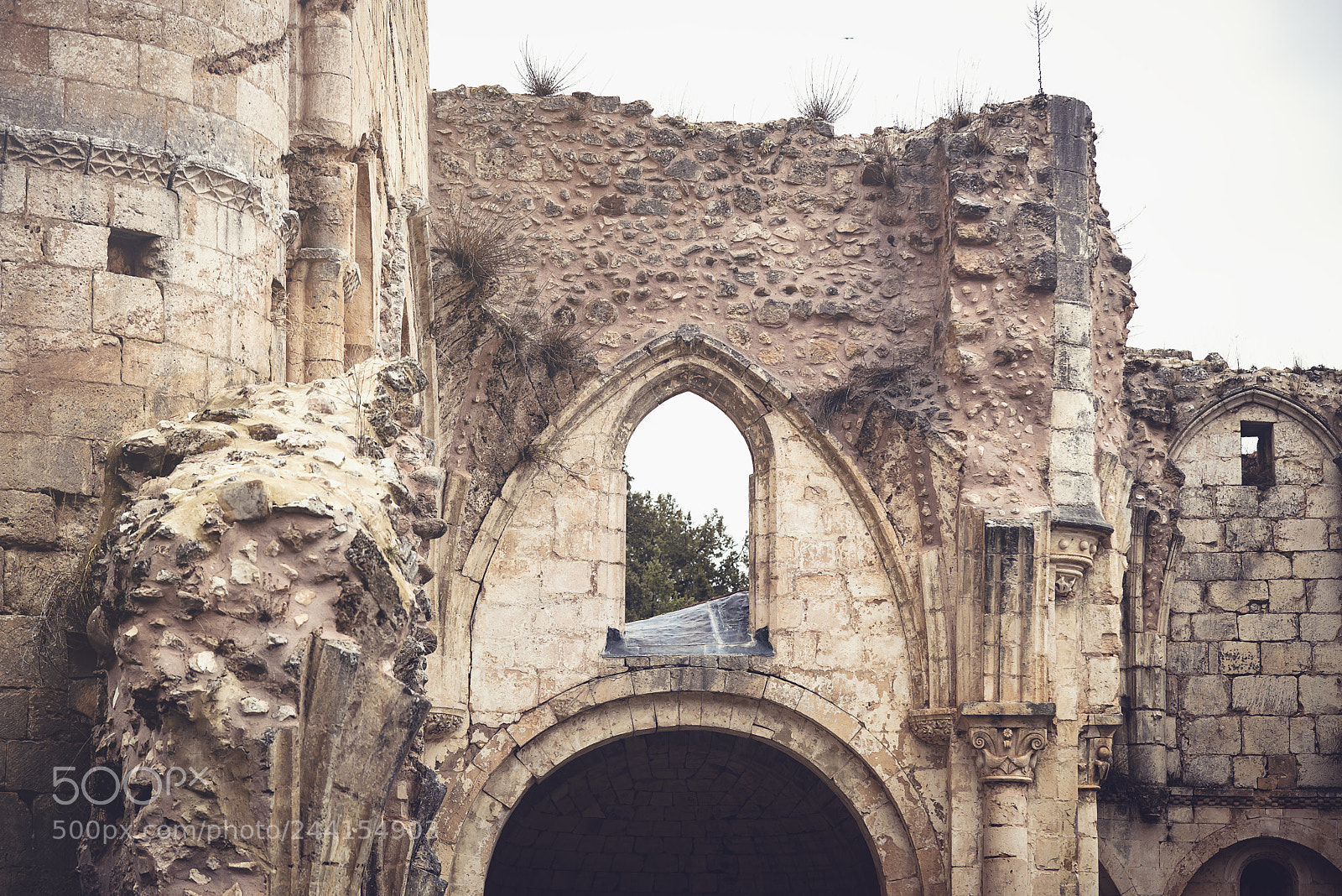 Nikon D610 sample photo. Monasterio san pedro de photography