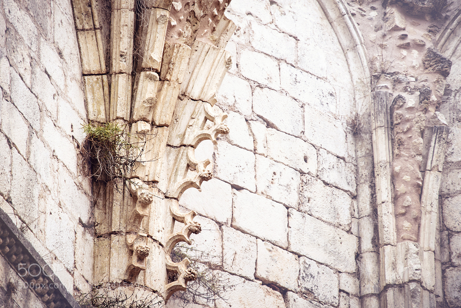 Nikon D610 sample photo. Monasterio san pedro de photography