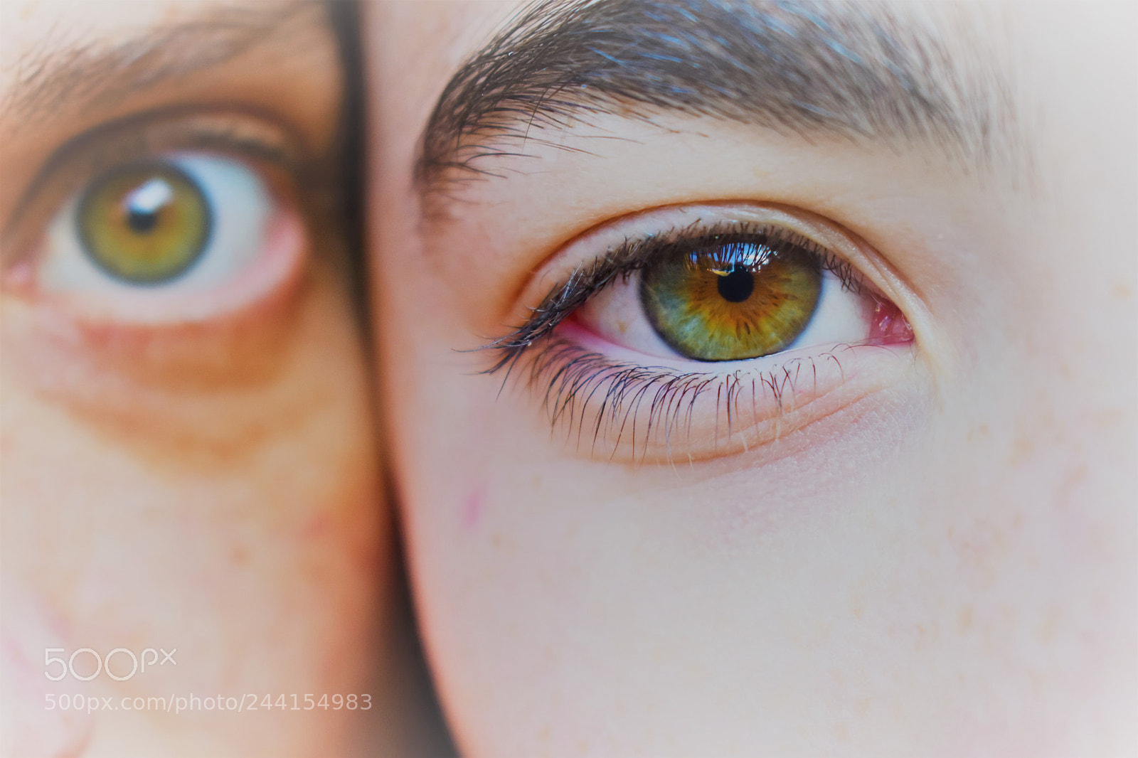 Nikon D3400 sample photo. Eyes photography