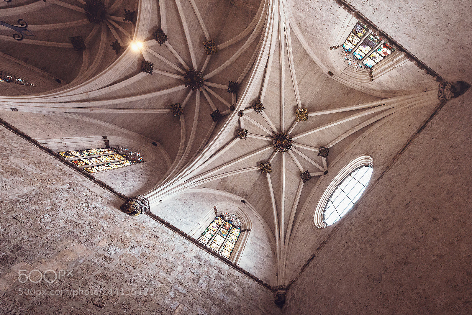 Nikon D610 sample photo. Ceiling perspective photography