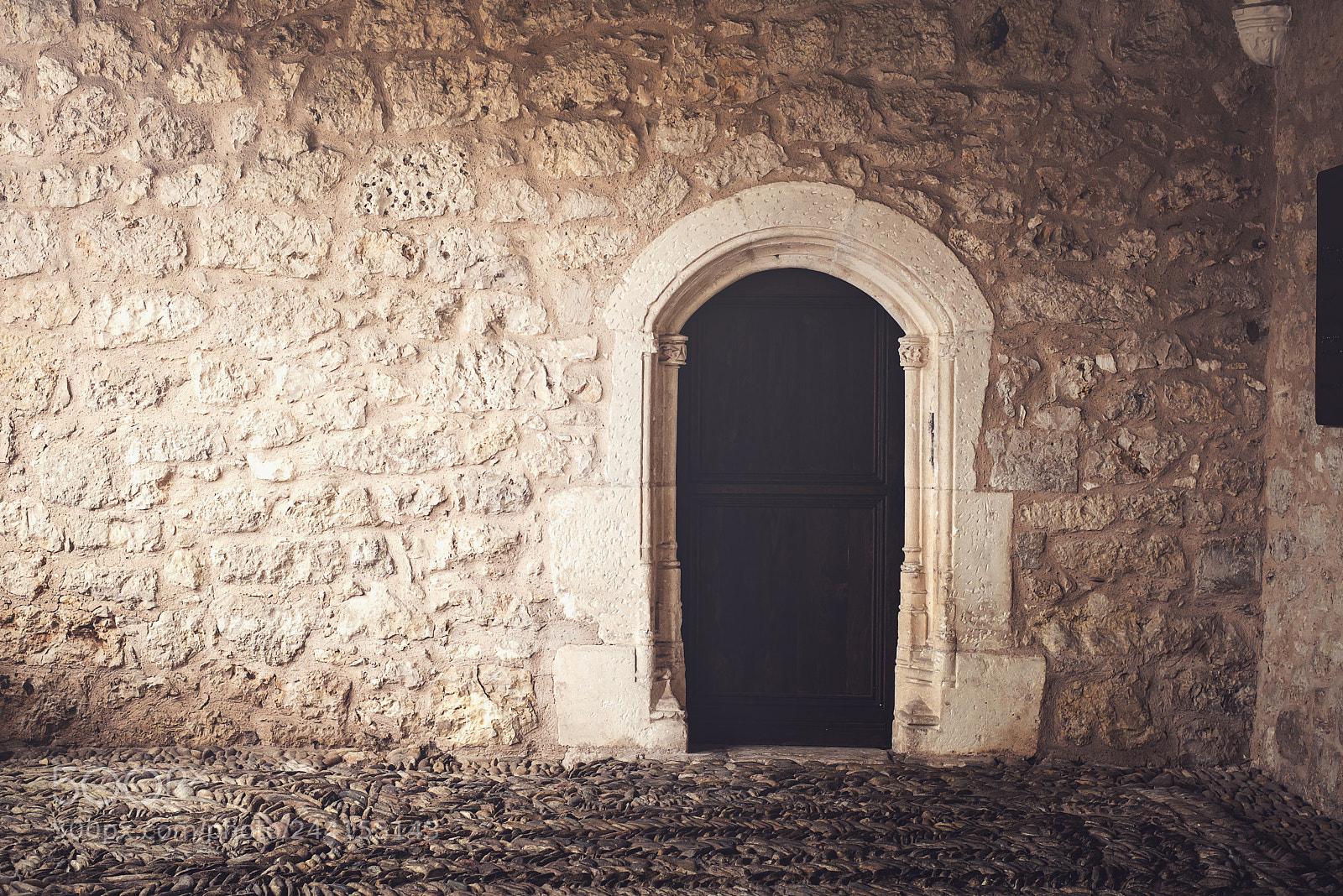Nikon D610 sample photo. Gothic door photography