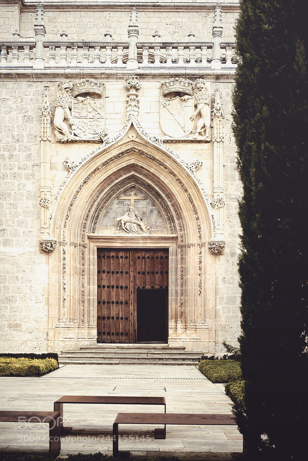 Nikon D610 sample photo. Exploring the cartuja de photography