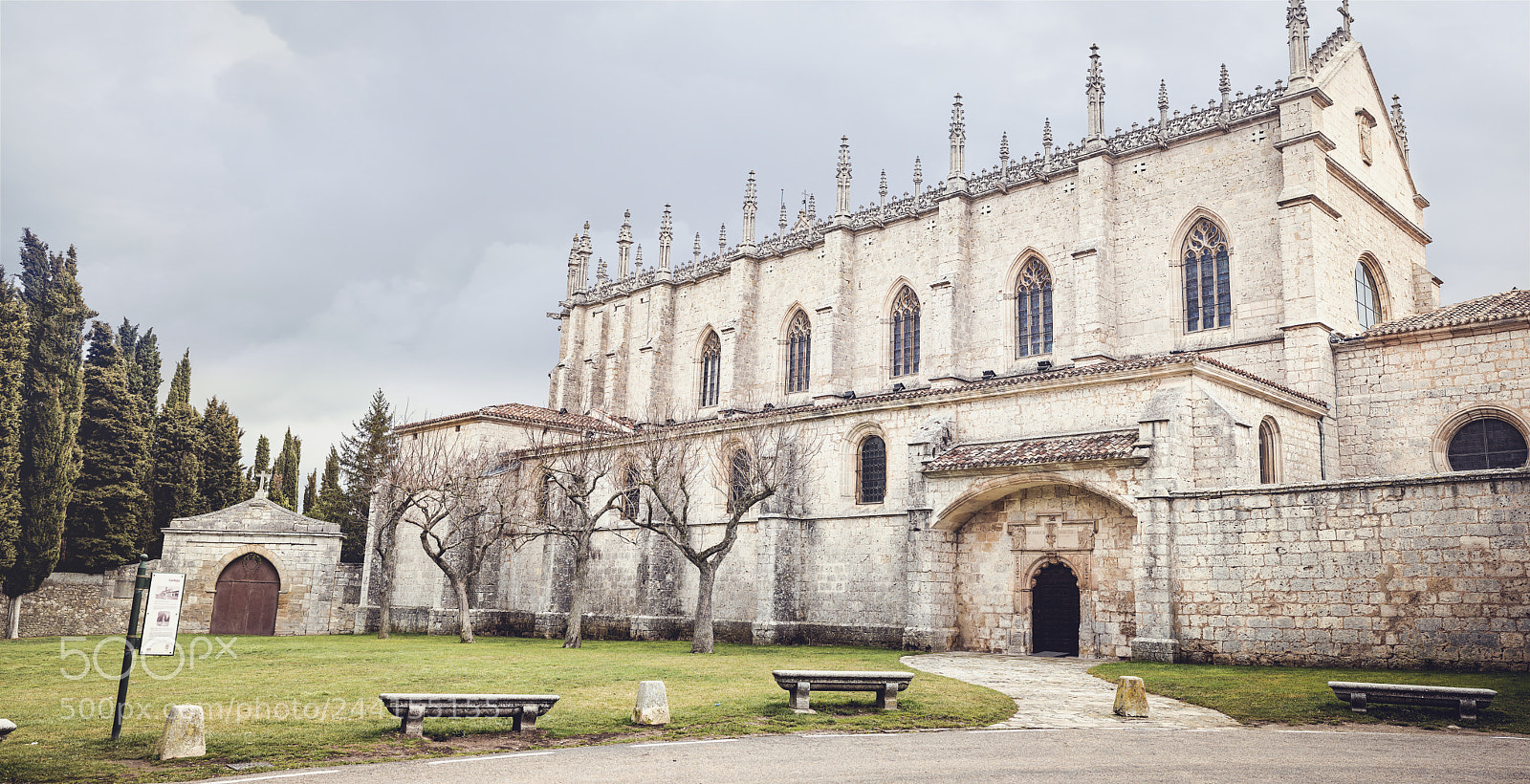 Nikon D610 sample photo. Exploring the cartuja de photography