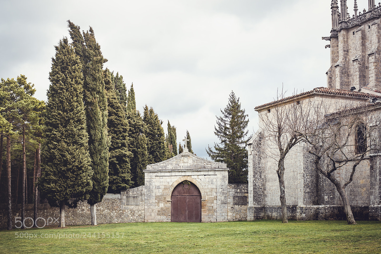 Nikon D610 sample photo. Exploring the cartuja de photography