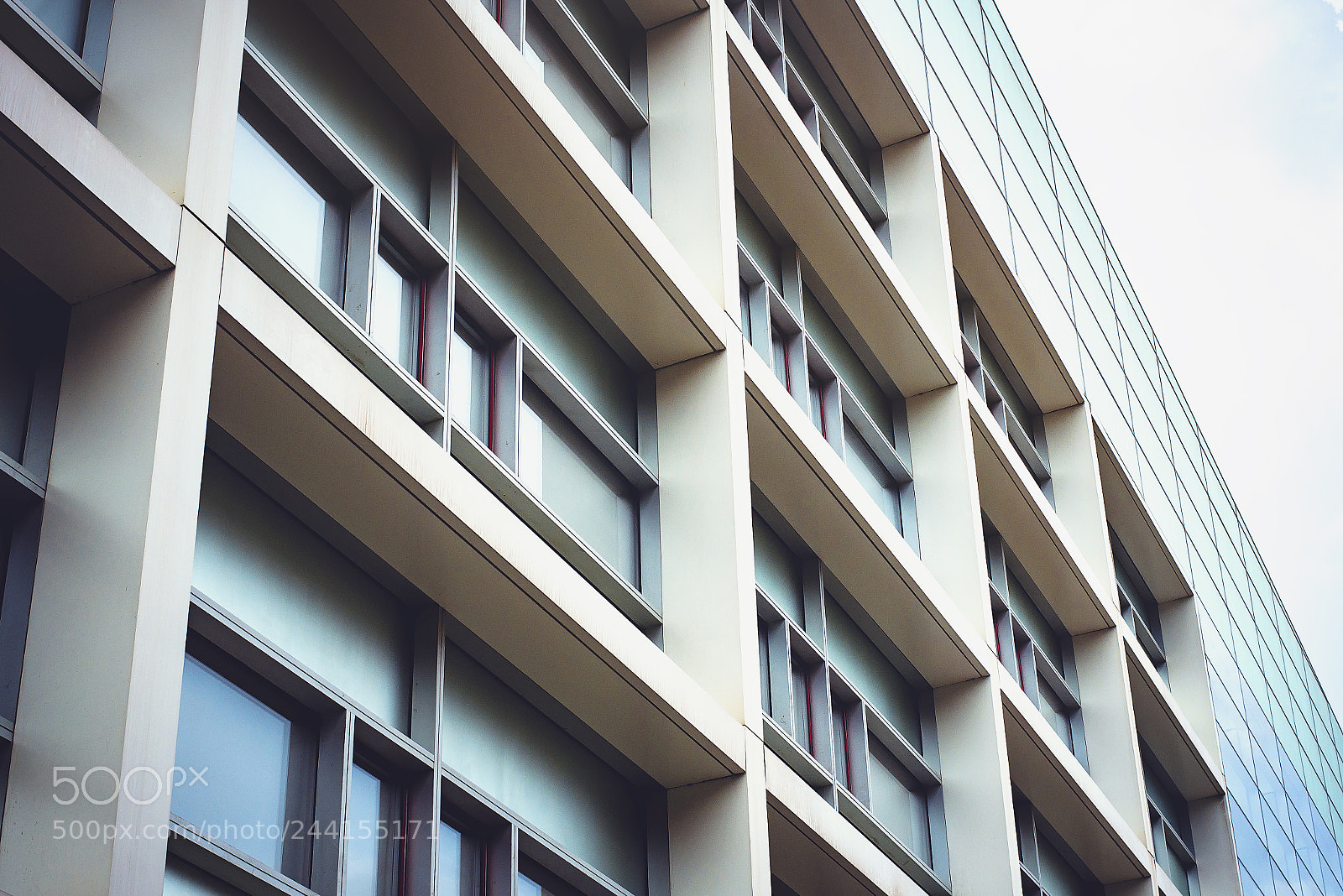 Nikon D610 sample photo. Different perspective in burgos photography