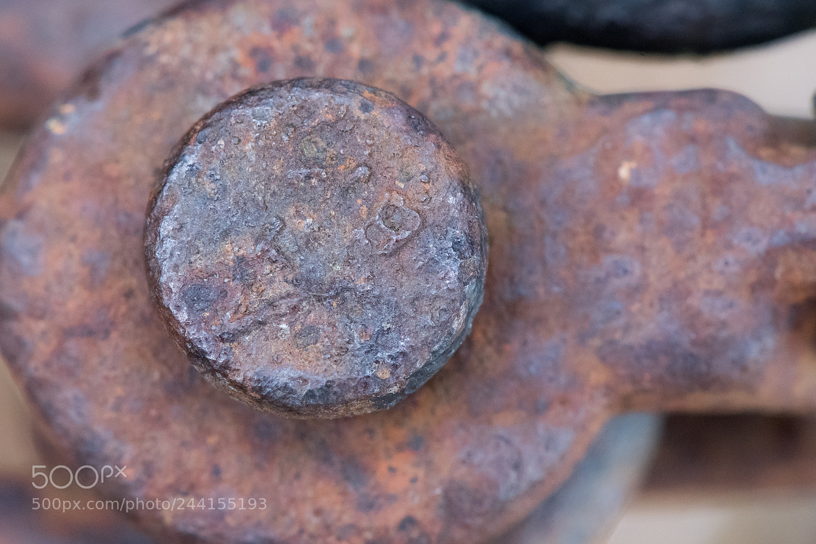 Nikon D810 sample photo. Bolt on a shackle photography
